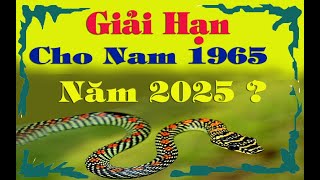 Nam 1965 Ất Tỵ trong năm 2025 có Hạn gì  Cách hóa giải để bình an [upl. by Humo860]