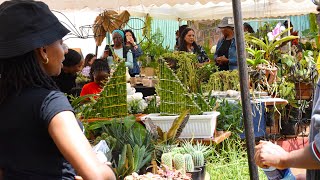 Kenya Horticultural Society Thika Branch showcases gorgeous garden displays at the Thika Garden Fair [upl. by Yezdnil]