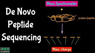 De Novo Peptide Sequencing  Tandem Mass Spectrometry Protein Sequencing [upl. by Cobb]