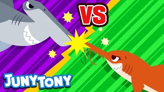 Saw Shark vs Hammerhead Shark  VS Series for Kids  Shark Song  Kindergarten Song  JunyTony [upl. by Vokay]