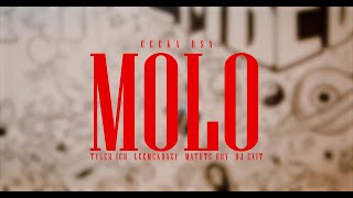 Ceeka RSA  Molo WavFiles ft Tyler ICU Leemckrazy Matute Boy DJ Exit [upl. by Aicetal]