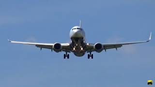 Boeing 737 overhead landing Ryanair KarlsruheBadenBaden [upl. by Theola441]