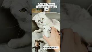 Cat Nail Clipping Tutorial Guaranteed Safe amp Comfortable👍😻 Sonyakisa8 [upl. by Harbison]