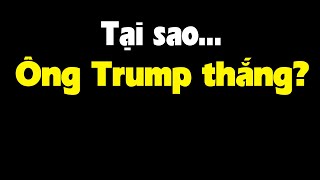 Đây chính là lý do ông Trump thắng [upl. by Hgielra]