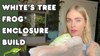 Whites Tree Frog Enclosure Build  Custom Background  Bioactive [upl. by Ruckman]