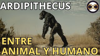 La Evolución de mono a humano  ARDIPITHECUS [upl. by Dareece374]