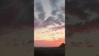 Pink Marshland Scene Sunset  30 Second Sunset for Weds 110624 meditation sunset timelapse [upl. by Chaworth]