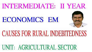 Causes for Rural Indebtednes04  Economics II Yr EM Agricultural Sectormshatavahana [upl. by Rather]