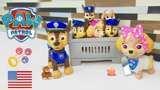 Paw Patrol Baby Chase and Skye bring the Babies Home from the Hospital Boy Nursery [upl. by Rowney]