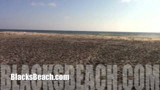 Blacks Beach hikein from Torrey Pines [upl. by Codd180]