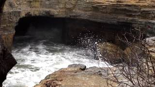 Blowhole 3 Eaglehawk Neck  Tasmania Australia [upl. by Ardnoel6]