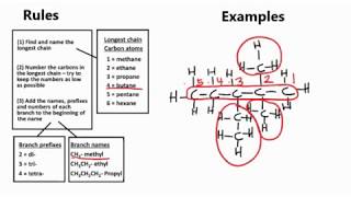 How do you name branched alkanes [upl. by Alleuqram231]