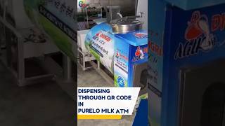 Dispensing through QR code scanner in purelo milk atm dispensingmachine vendingmachine business [upl. by Azila17]