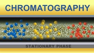 Chromatography Animation IQOGCSIC [upl. by Reahard]