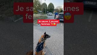 Heureusement que j’étais là avec Nino 😨😤 nino chien ninolemalou malinois [upl. by Pedrick]