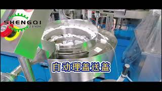 酶联免疫检测试剂盒贴标入托生产线Enzyme linked immunosorbent assay kit labeling and palletizing production line [upl. by Stanzel]