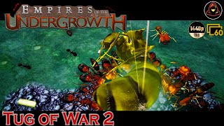 Empires of the Undergrowth  Tug of War 2 Extra Level [upl. by Rafaello]