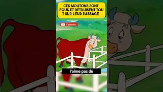 Ces moutons sont fous [upl. by Adriel793]