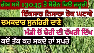 ਝੋਨੇ ਤੇ ਬਾਸਮਤੀ ਵਿੱਚ 13 045 ਅਤੇ ਬੋਰੋਨ ਤੱਤ ਦੀ ਸਪਰੇ ਕਰਨ ਦਾ ਸਮਾਂ ਤੇ ਮਾਤਰਾ [upl. by Manard]