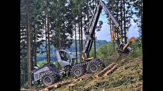 🌲 POWERful  Fin with sound • Logset 10H • Harvester in action • Forstbetrieb Weber • Logging 🌲 [upl. by Karola]