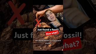 Just found a fossil Now what todayilearned dinosaur paleontology fyp fossils science [upl. by Nurav]