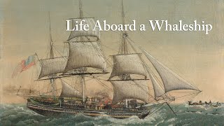 Life Aboard a Whaleship at the Nantucket Whaling Museum [upl. by Annawyt]