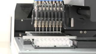 Meridian automated accurate liquid dispensing system [upl. by Manbahs]