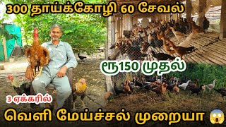 2 கோழியில்🐓ஆரம்பித்தேன் இன்று மாதம் 2500 குஞ்சுகள் விற்பனை 🐥  பெருவிடை [upl. by Aemat]