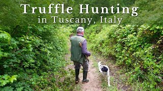 Truffle Hunting in Tuscany [upl. by Claudelle]