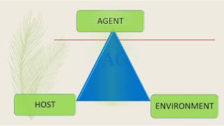 Epidemiology triad [upl. by Nnahteb]