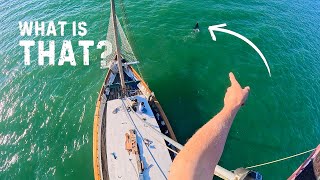 Restoring our sailboats RIGGING Backstay fix amp Mast varnish with FPV Footage — Sailing Yabá 214 [upl. by Katherina15]