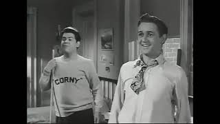 Mr Belvedere Goes to College 1949 [upl. by Estis]