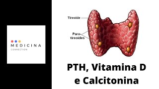 Hormona paratiroidea calcitonina metabolismo del Ca y P vitamina D y huesos [upl. by Goodspeed]