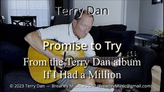 Promise To Try  Terry Dan  If I Had a Million [upl. by Katlaps428]