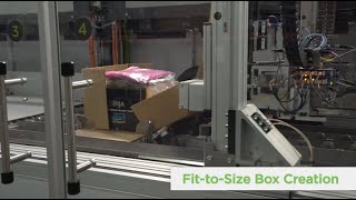 CVP Automated Packaging Solution [upl. by Eenaj]