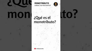 ¿Qué es el monotributo [upl. by Surdna438]