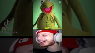 Kermit foryou amazing kermit frog fypシ゚viral fyp mrbeast robux freerobux americanactor W [upl. by Ilecara]