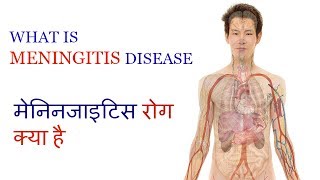 WHAT IS MENINGITIS DISEASE  क्या है मेनिनजाइटिस रोग Video 8 by Ayurveda amp Health [upl. by Harbed561]