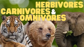 Herbivores Carnivores and Omnivores  What Animals Eat  Types of Animals  Science Lesson for Kids [upl. by Iret812]