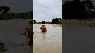 Kabini River KabiniRiver Kabini [upl. by Thorne]