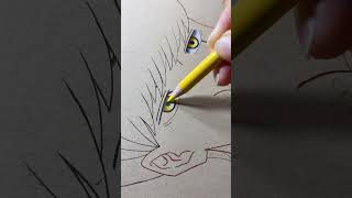 Eyes coloring Mash Burnedead mashle mashlemagicandmuscles drawing anime coloredpencil shorts [upl. by Haniraz]