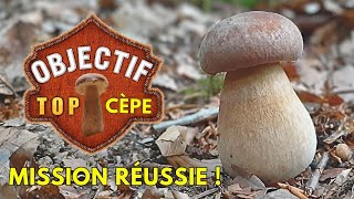 OBJECTIF TOP quotCÈPESquot ➡️ où chercher les derniers  ➡️ je te guide  cepes 2024 nature asmr 🍄🌳🍂 [upl. by Albertine]