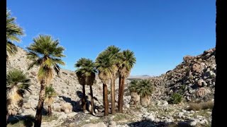 Checking out campsites in Anza Borrego desert Beginner offroad trails ep 15 [upl. by Micki]