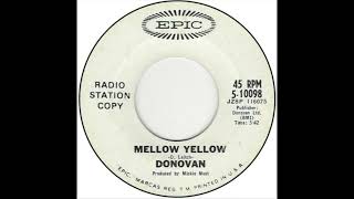 Donovan  Mellow Yellow 1967 [upl. by Lorrayne]