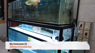 100 Gallon RTG Arowana Tank f22 [upl. by Dickman304]