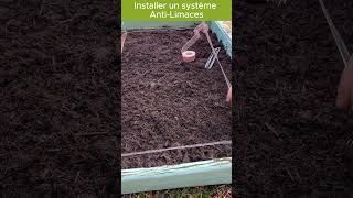 Installer un système anti limaces naturel jardinage potager garden jardin gardening bio [upl. by David]