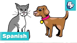 Animal names in Spanish with BASHO amp FRIENDS  Animales [upl. by Meehsar982]