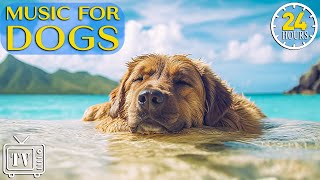 24 Hours of Anti Anxiety Music for Dogs Cure Separation Anxiety with Sleep Music Dogs amp Calm Stress [upl. by Inavoj]