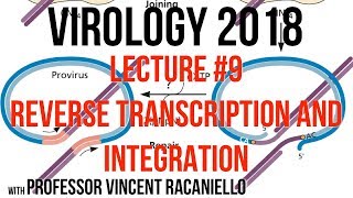 Virology Lectures 2018 9 Reverse Transcription and Integration [upl. by Eatnuhs]