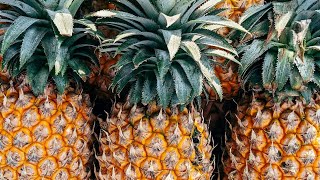 अनानास के फायदे  benefits of pineapple  ananas khane ke fayde  Creator Rahim  pineapple [upl. by Sedinoel]